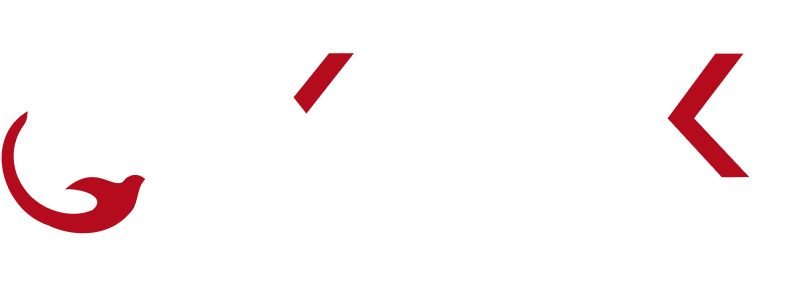 logo_york_vistos_1